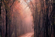 B体育官网：压着打！邵佳一3-2绝杀韩国名帅，4战轰10球，难怪会离开国足.