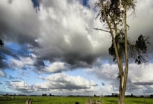 闻桂起舞，向梦偕行——杭州第4届亚残运会开幕式特写潮新闻.