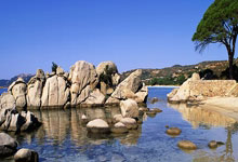 篮球——NBA常规赛：猛龙不敌奇才.